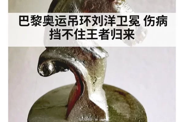 巴黎奥运吊环刘洋卫冕 伤病挡不住王者归来